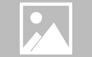 武汉新区景区网站建设（in art criticism,you must assume）